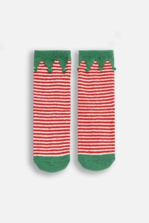 COCCODRILLO sokid, värvilised, ZC5382702MER-022-036, 36-39 cm 