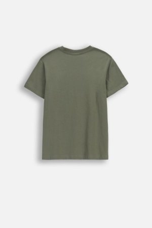 COCCODRILLO lühikeste varrukatega t-särk, rohelised, cm 