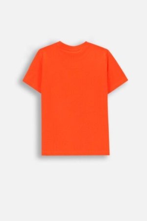 COCCODRILLO t-shirt GRUNGE SWAMP BOY KIDS, punased, ZC4143201GBK-009-122, 122 cm 