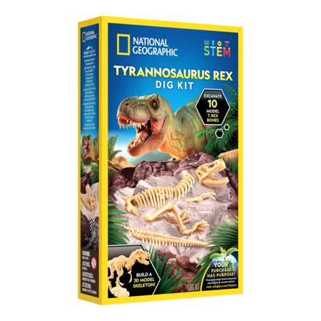 NATIONAL GEOGRAPHIC komplekt T-Rex Skeleton Dig Kit, RTTREXDIG 