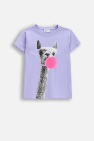 COCCODRILLO lühikeste varrukatega t-särk, lillad, WC6143217VGB-016-110, 110 suurus 