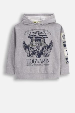 COCCODRILLO hüppaja LICENCE BOY WARNER BROS, hall, cm