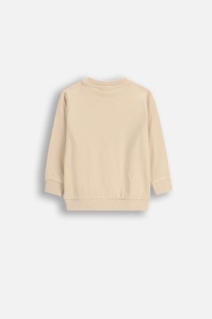 COCCODRILLO t-särgid, kreemjas, cm 