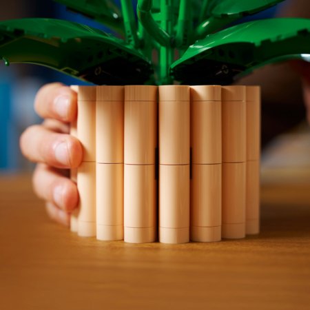 11504 LEGO® Botanicals Tõlvlehik 