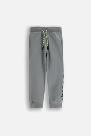 COCCODRILLO püksid SPORTS BOY KIDS, hall, ZC5120102SBK-019-116, 116 cm 