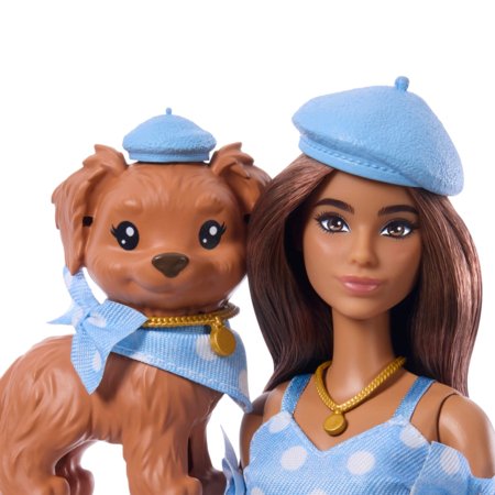 BARBIE stiilsed sõbrad - Brünett nukk, JFP38 