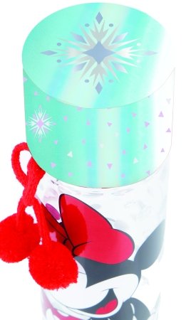 FROZEN Water bottle 590ml, 530-60452 