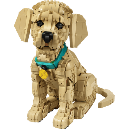 11384 LEGO® Icons Kuldse retriiveri kutsikas 