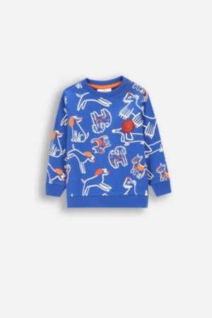 COCCODRILLO sweatshirt BETWEEN FRIENDS BOY NEWBORN, cobalt, ZC4132101BBN-032-086, 86 cm 