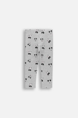 COCCODRILLO retuusid, hallid, 