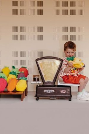 FLIPETZ plüüsist mänguasi - tibu ananassis, 80106