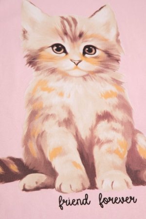 COCCODRILLO lühikeste varrukatega t-särk, roosad, cm 