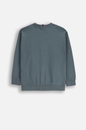 COCCODRILLO t-särk, hallid, cm 