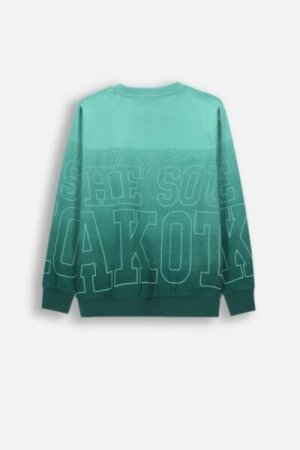 COCCODRILLO t-shirt ACADEMY BOY JUNIOR, multicoloured, ZC4143103ABJ-022-164, 164 cm 
