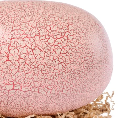 PRIMAL HATCH interaktiivne mänguasi Jurassic World, 6076597 