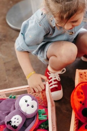 FLIPETZ plüüsist mänguasi - öökull maasikas, 80104