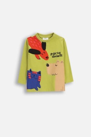 COCCODRILLO t-särgid, roheline, cm 