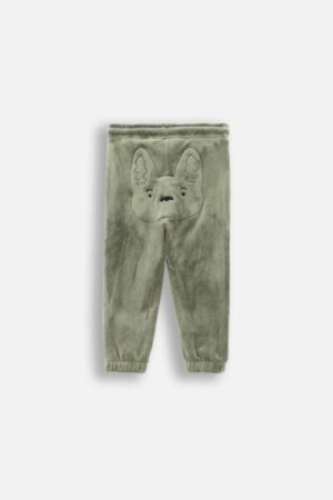 COCCODRILLO joggers SMILE BOY NEWBORN, khaki, ZC4120101SBN-027-086, 86 cm 