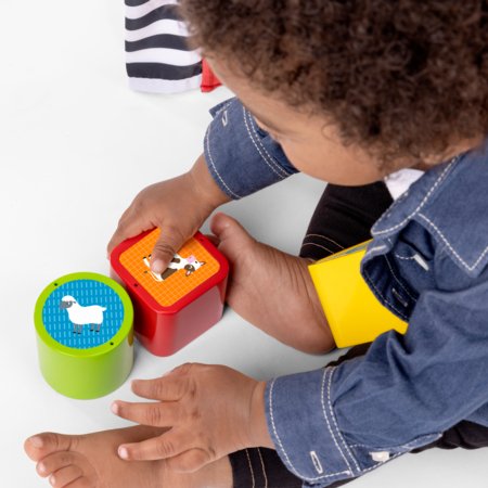 BABY EINSTEIN mängumatt Farm Explorers, 17327 