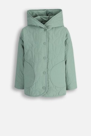 COCCODRILLO jope, roheline, cm 