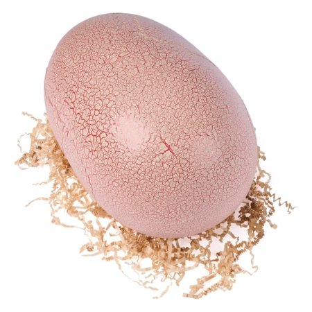 PRIMAL HATCH interaktiivne mänguasi Jurassic World, 6076597 