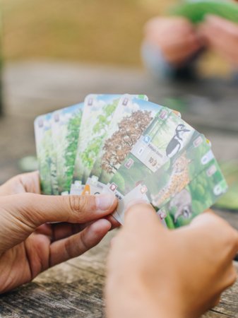 BRAIN GAMES mäng Forest Shuffle Metsas EE, BRG#FOSHEE 