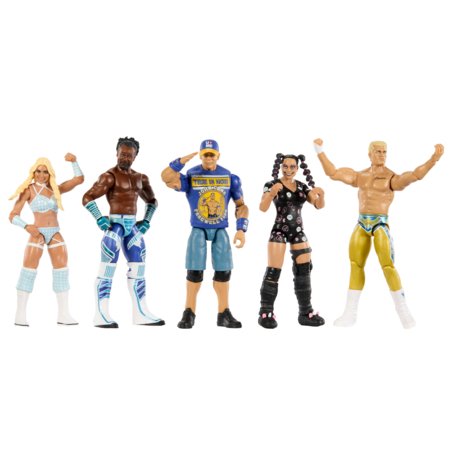 WWE Basic Action maadleja figuur, assortii, 15 cm, GDF62 
