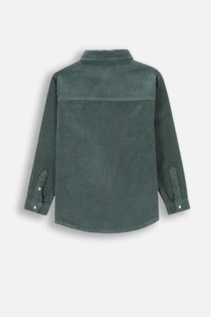 COCCODRILLO pikkade varrukatega särk ACADEMY BOY JUNIOR, roheline, ZC4152002ABJ-011-158, 158 cm 