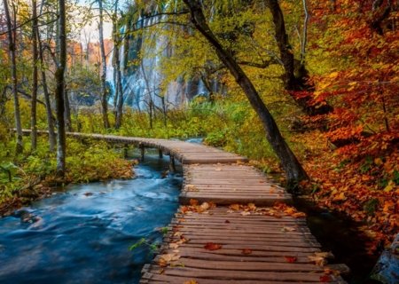 RAVENSBURGER PUZZLE pusle Sügisene metsarada, 1000 tk, 12001764 6 