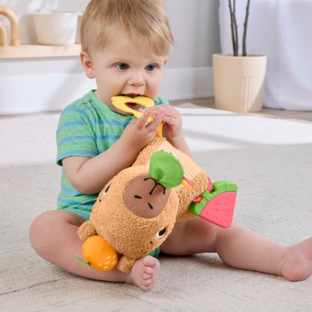 FISHER PRICE Sensimals mīļā kārumniece kapibara, HYR54 