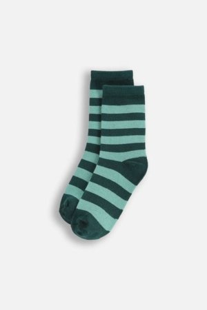 COCCODRILLO sokid SOCKS BOY, värviline, cm 