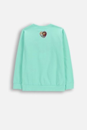 COCCODRILLO pikkade varrukatega t-särk, rohelised, cm 