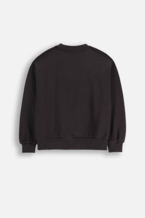 COCCODRILLO pusa, hall, cm 