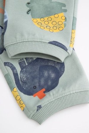 COCCODRILLO püksid SAGE TIME BOY NEWBORN, roheline, WC5120102SBN-027-086, 86 cm 