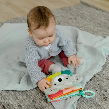 BABYFEHN DoBabyDoo pehme raamat koaala, 49176 