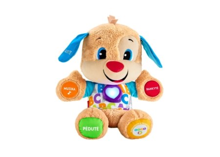 FISHER-PRICE Smart Stages Brother Naera ja õpi, FPP16 