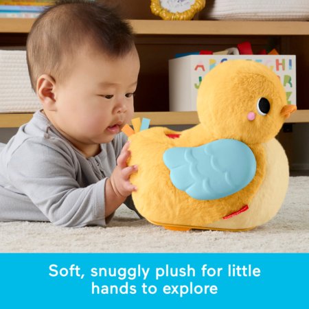 FISHER-PRICE 4 ühes pardipoja mänguasi, JMX99 
