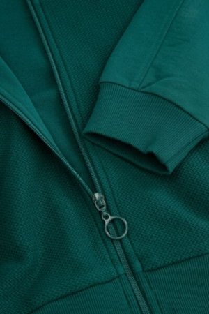 COCCODRILLO pullover with zipper ACADEMY BOY JUNIOR, roheline, ZC4132202ABJ-011-164, 164 cm 