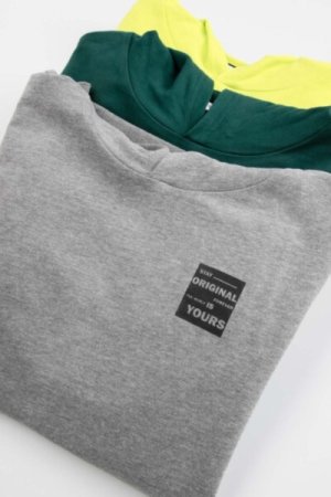 COCCODRILLO hoodie EVERYDAY BOY A, roheline, ZC4132301VBA-011-152, 152 cm 