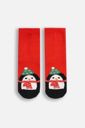 COCCODRILLO sokid, punased, ZC5382703MER-009-019, 19-22 cm 