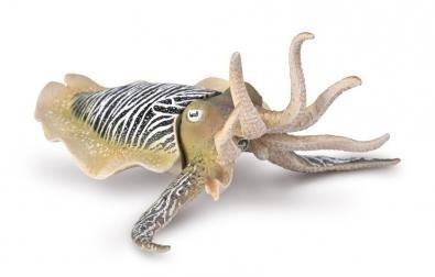 COLLECTA mereelukas Common Cuttlefish (XL), 80009 