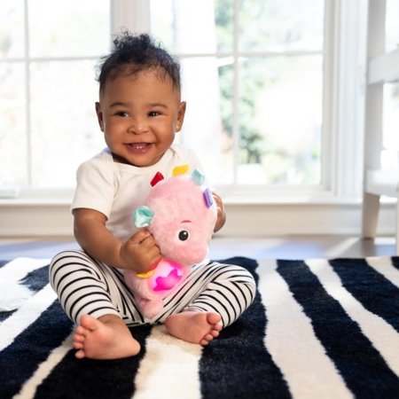 BABY EINSTEIN rahustav pehme mänguasi Seahorse Soother, roosa, 17400-013 