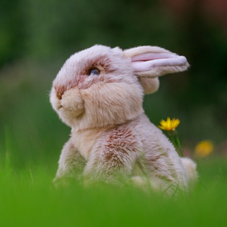 ANIMIGOS plüüsist mänguasi European Rabbit, 25cm, 37236 