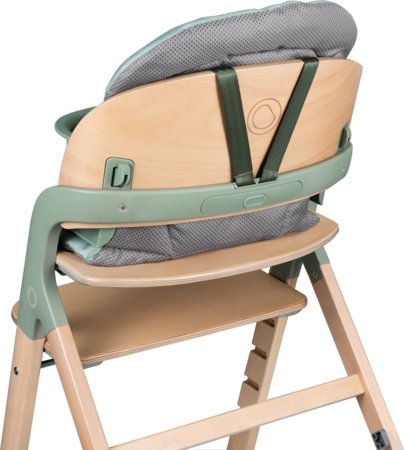 LIONELO söögitool MEGAN, Green wood 