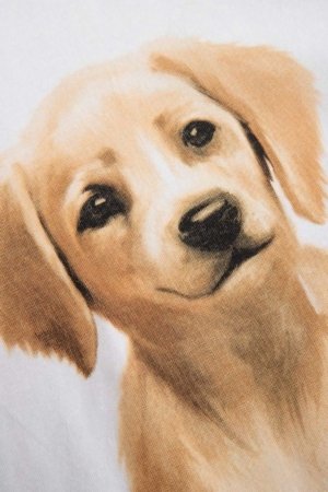 COCCODRILLO lühikeste varrukatega t-särk, valged, cm 