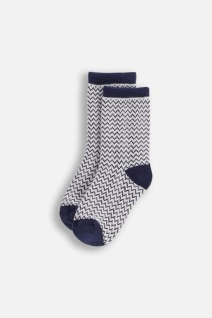 COCCODRILLO sokid SOCKS BOY, värviline, 