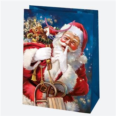 Paberist kinkekott T10  XL, 5906664000392 5906664000392