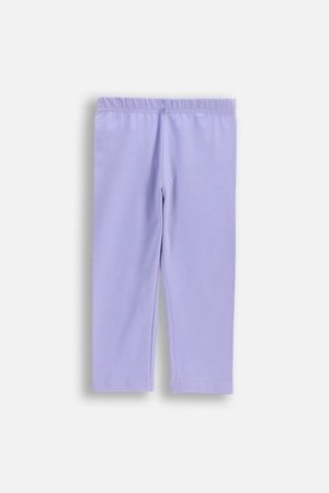 COCCODRILLO retuusid, lillad, suurus 