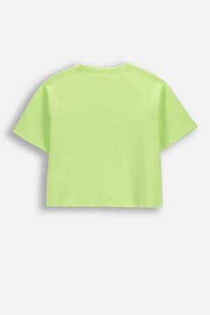 COCCODRILLO lühikeste varrukatega t-särk, lime, cm 