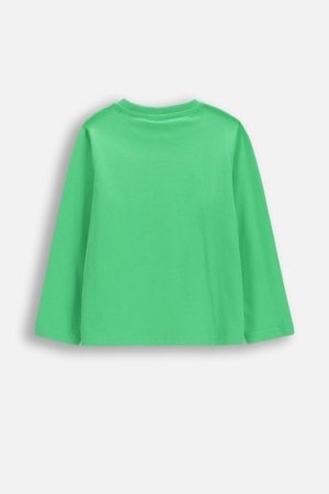 COCCODRILLO pikkade varrukatega t-särk, rohelised, cm 